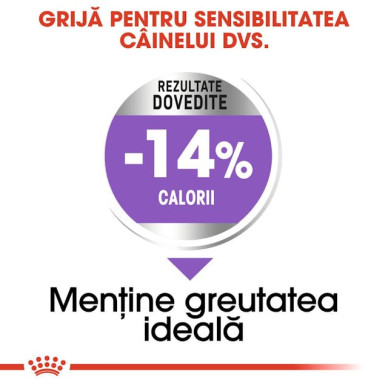 Royal Canin Mini Sterilised Adult – Hrană Uscată pentru Câini Adulți Sterilizați de Talie Mică – 1 kg